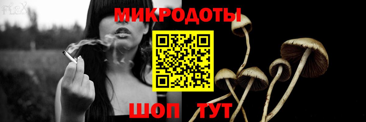 Кондопога  Псилоцибиновые грибы Magic Shrooms  Вход с VPN  Галлюциногенные грибы Psilocybe 